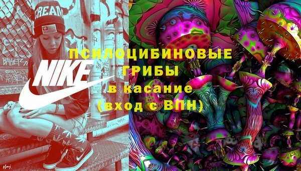 дурь Армянск
