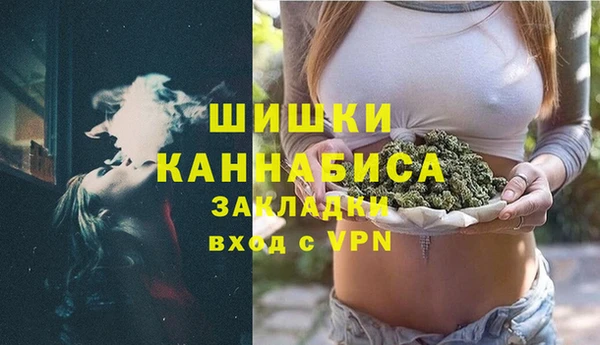 спайс Арсеньев