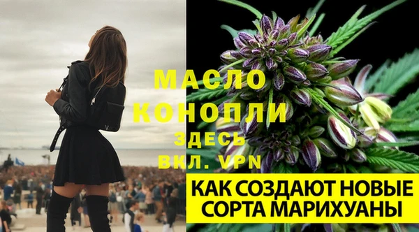 дурь Армянск