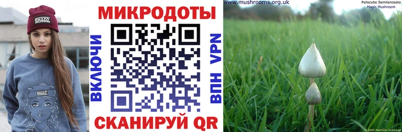 купить закладку  Белореченск  Галлюциногенные грибы MAGIC MUSHROOMS 